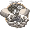 Logo Cofea Adoro